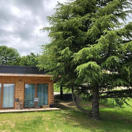 Studio-Mazot De Charme 26 M2 Parc Chartreuse Vimines Exterior foto